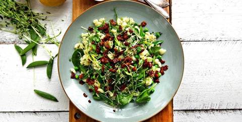 Pastasalat med erter, sprøstekt bacon og ristede gresskarfrø